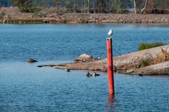 Rode Boei Navigatiehulp in Haven stock afbeelding Rode Boei Navigatiehulp in Haven stock afbeelding