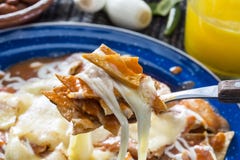 Rode Chilaquiles royalty-vrije stock foto Rode Chilaquiles royalty-vrije stock foto