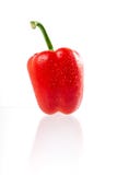 Rode groene paprika met waterdalingen die op witte achtergrond worden geïsoleerd stock afbeelding Rode groene paprika met waterdalingen die op witte achtergrond worden geïsoleerd stock afbeelding