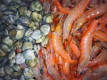 Rode grote garnalen en grijze zeeschelpen, dichte mening stock afbeelding Rode grote garnalen en grijze zeeschelpen, dichte mening stock afbeelding