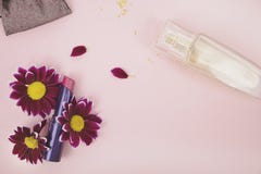 Rode lippenstift in chrysantenbloemen, parfum Roze achtergrond - ruimte voor tekst Schoonheid, schoonheid en zorg royalty-vrije stock fotografie Rode lippenstift in chrysantenbloemen, parfum Roze achtergrond - ruimte voor tekst Schoonheid, schoonheid en zorg royalty-vrije stock fotografie