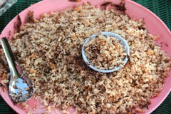 Rode mier, miereneieren en mier larvaes voor verkoop om Thai-stijldi te koken royalty-vrije stock foto's Rode mier, miereneieren en mier larvaes voor verkoop om Thai-stijldi te koken royalty-vrije stock foto's