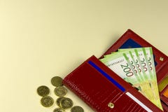 Rode vrouwenportefeuille Bankbiljetten in twee honderd Russische roebels Een paar muntstukken Beige achtergrond Rusland royalty-vrije stock fotografie Rode vrouwenportefeuille Bankbiljetten in twee honderd Russische roebels Een paar muntstukken Beige achtergrond Rusland royalty-vrije stock fotografie