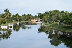 Roeien in Serene Florida Tropical Setting stock foto's Roeien in Serene Florida Tropical Setting stock foto's