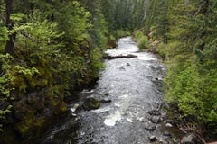 Rogue River en Orégon du sud-ouest image libre de droits Rogue River en Orégon du sud-ouest image libre de droits