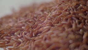 Roher roter Reis auf dem Tisch Rote Reisnahaufnahme Konzept: Gesamtlänge für das Rezept 4K Lebensmittelvideo stock video footage Roher roter Reis auf dem Tisch Rote Reisnahaufnahme Konzept: Gesamtlänge für das Rezept 4K Lebensmittelvideo stock video footage