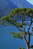 ROI de Fogazzaro de villa, une résidence antique en Italie photo stock ROI de Fogazzaro de villa, une résidence antique en Italie photo stock