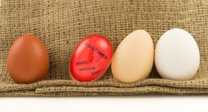 Rojo moderno, contador de tiempo plástico de la cocina con los huevos fotografía de archivo Rojo moderno, contador de tiempo plástico de la cocina con los huevos fotografía de archivo