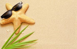 Rolig sjöstjärna på sommarstranden med sand arkivbilder Rolig sjöstjärna på sommarstranden med sand arkivbilder