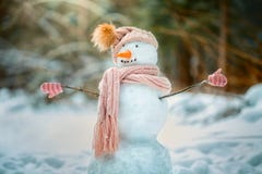 Rolig snögubbe i en parkera Royaltyfri Bild Rolig snögubbe i en parkera Royaltyfri Bild