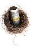 Roll Of Banknotes In Nest. Stock Images