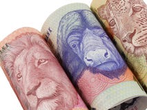 Rolled South African money notes