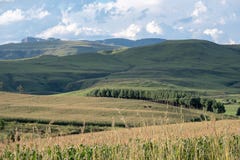 Rolling Hills verte dans la région de Mpumalanga, Afrique du Sud photo stock Rolling Hills verte dans la région de Mpumalanga, Afrique du Sud photo stock