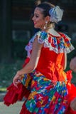 Young dancer girl from Puerto Rico in traditional costume royalty free stock image Young dancer girl from Puerto Rico in traditional costume royalty free stock image