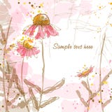Romantic Background With Echinaceas Royalty Free Stock Photo Romantic Background With Echinaceas Royalty Free Stock Photo