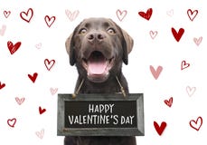 Romantic dog with text happy valentines day on wooden board with cute hand drawn hearts on white background for 14 february