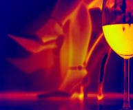 Romantic evening with a glass of wine - Infrared