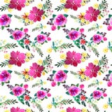 Romantic floral seamless pattern with rose flowers and leaf. Print for textile wallpaper endless. Hand-drawn watercolor Royalty Free Stock Photo Romantic floral seamless pattern with rose flowers and leaf. Print for textile wallpaper endless. Hand-drawn watercolor Royalty Free Stock Photo
