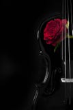Romantic Old Black Violin And Red Rose Over Black Background Stock Photo Romantic Old Black Violin And Red Rose Over Black Background Stock Photo