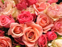Romantic pink flowers