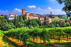 Romantic vine route with medieval castles in Emiglia Romagna. stock image Romantic vine route with medieval castles in Emiglia Romagna. stock image