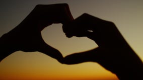 Romantisch paar dat hart met hun handen maakt stock footage Romantisch paar dat hart met hun handen maakt stock footage