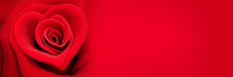 Rood nam in de vorm van een hart, de banner van de valentijnskaartendag toe stock fotografie Rood nam in de vorm van een hart, de banner van de valentijnskaartendag toe stock fotografie