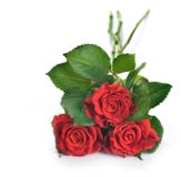 Rood nam toe stock foto Rood nam toe stock foto