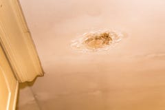 Roof leakages results damage ugly corrosion on plaster ceiling