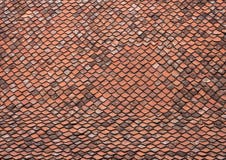 Roof With Old Tiles - RAW Format Royalty Free Stock Photography Roof With Old Tiles - RAW Format Royalty Free Stock Photography