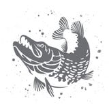 Roofzuchtige snoeken Het gestileerde beeld van vissen Vector stock illustratie Roofzuchtige snoeken Het gestileerde beeld van vissen Vector stock illustratie