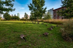 Roosevelt Island, New York stock images Roosevelt Island, New York stock images