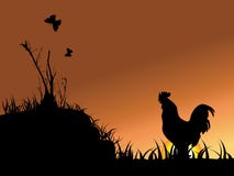 Rooster ,butterfly,and Tree Stock Images
