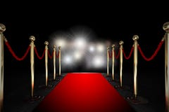 Rope barrier with red carpet and flash light