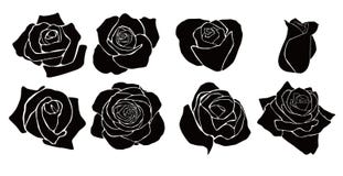 Rosa royalty illustrazione gratis Rosa royalty illustrazione gratis
