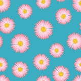 Rosa aster, Daisy Seamless på blå bakgrund också vektor för coreldrawillustration royaltyfri illustrationer Rosa aster, Daisy Seamless på blå bakgrund också vektor för coreldrawillustration royaltyfri illustrationer