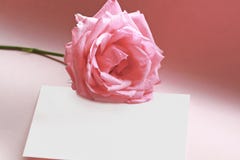 Rosa em uma nota do amor Foto de Stock Rosa em uma nota do amor Foto de Stock