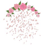 Rosa falla för kronblad som flyger från en halvcirkelformig båge av rosor med sidor, mjukhet som gifta sig bakgrund stock illustrationer Rosa falla för kronblad som flyger från en halvcirkelformig båge av rosor med sidor, mjukhet som gifta sig bakgrund stock illustrationer