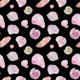 Rosa för vattenfärg sömlös och beige skalmodell på svart royaltyfri illustrationer Rosa för vattenfärg sömlös och beige skalmodell på svart royaltyfri illustrationer