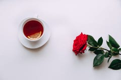 Rosa vermelha em um fundo branco, copo do chá daqui até o 8 de março imagens de stock Rosa vermelha em um fundo branco, copo do chá daqui até o 8 de março imagens de stock
