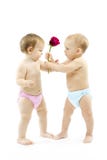 Rosafarbene Blume des Babygeschenkes zum Baby. stockfotos Rosafarbene Blume des Babygeschenkes zum Baby. stockfotos