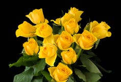 Rosas amarillas del manojo hermoso aisladas en un fondo negro Fotos de archivo libres de regalías Rosas amarillas del manojo hermoso aisladas en un fondo negro Fotos de archivo libres de regalías