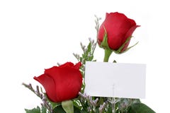 Rosas com cartão do presente (imagem 8.2mp) Fotografia de Stock Royalty Free Rosas com cartão do presente (imagem 8.2mp) Fotografia de Stock Royalty Free