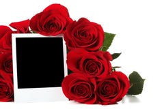 Rosas con la foto vacía Rosas con la foto vacía