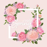 Rosas y brote decorativos del rosa del vintage con las hojas en el marco blanco ilustración del vector Rosas y brote decorativos del rosa del vintage con las hojas en el marco blanco ilustración del vector