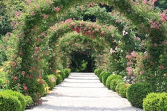 Rose Arch In the Garden stock images Rose Arch In the Garden stock images