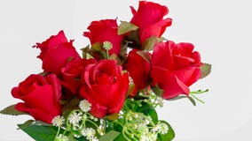 Rose - Blume, Blumenstrauß, Dutzend Rosen, Blumenstrauß, Blume stockfoto Rose - Blume, Blumenstrauß, Dutzend Rosen, Blumenstrauß, Blume stockfoto