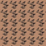 Rose Digital Paper Pack, Zwarte Rozen, Huwelijk, Scrapbooking, Rozen, Uitstekende Rozen stock illustratie Rose Digital Paper Pack, Zwarte Rozen, Huwelijk, Scrapbooking, Rozen, Uitstekende Rozen stock illustratie