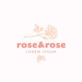 Rose et Rose Abstract Vector Sign, symbole ou Logo Template Fleur Rose avec des feuilles, croquis de Sillhouette de tige avec illustration stock Rose et Rose Abstract Vector Sign, symbole ou Logo Template Fleur Rose avec des feuilles, croquis de Sillhouette de tige avec illustration stock
