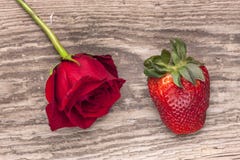 Rose et fraise sur le bois photographie stock libre de droits Rose et fraise sur le bois photographie stock libre de droits